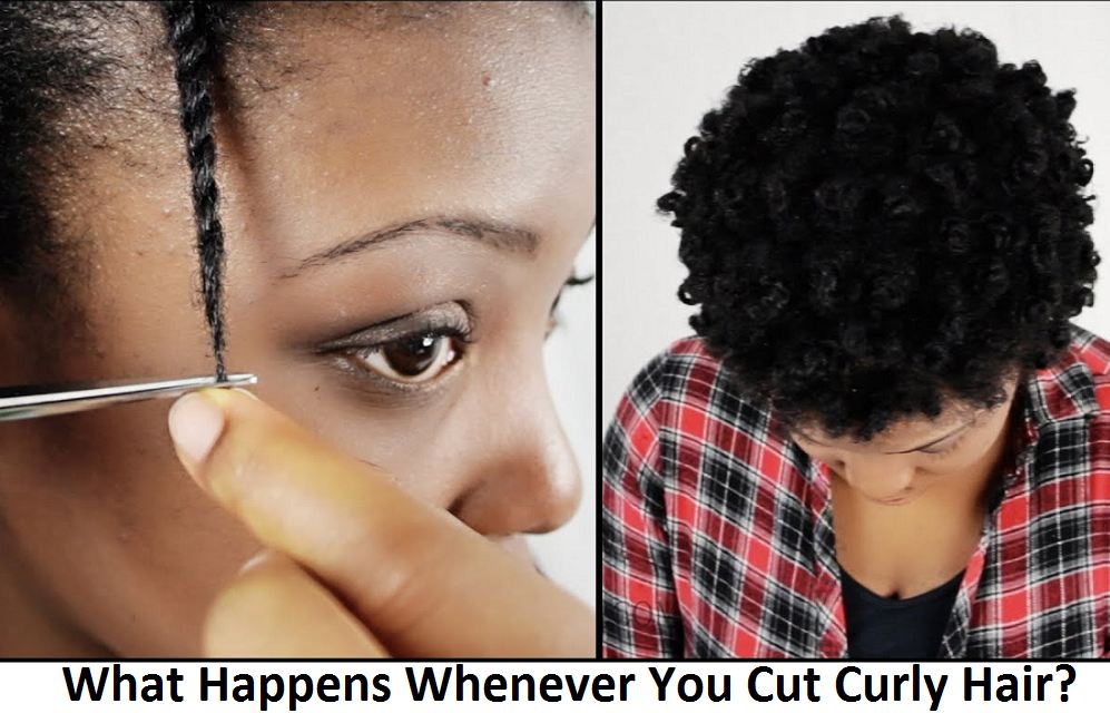 What Happens Whenever You Cut Curly Hair