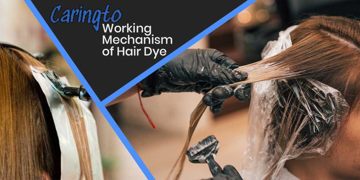 The Working Mechanism of Hair Dye