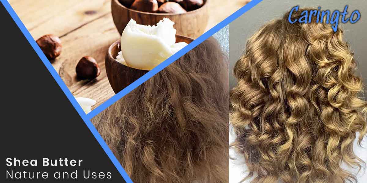 Nature and Use of Shea Butter