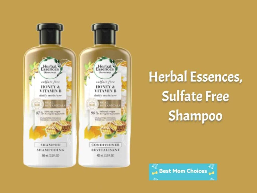 best shampoo for pregnancy