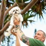 Are Temporary Tattoos Safe for Dogs