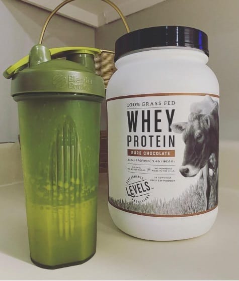 protein drink for pregnancy