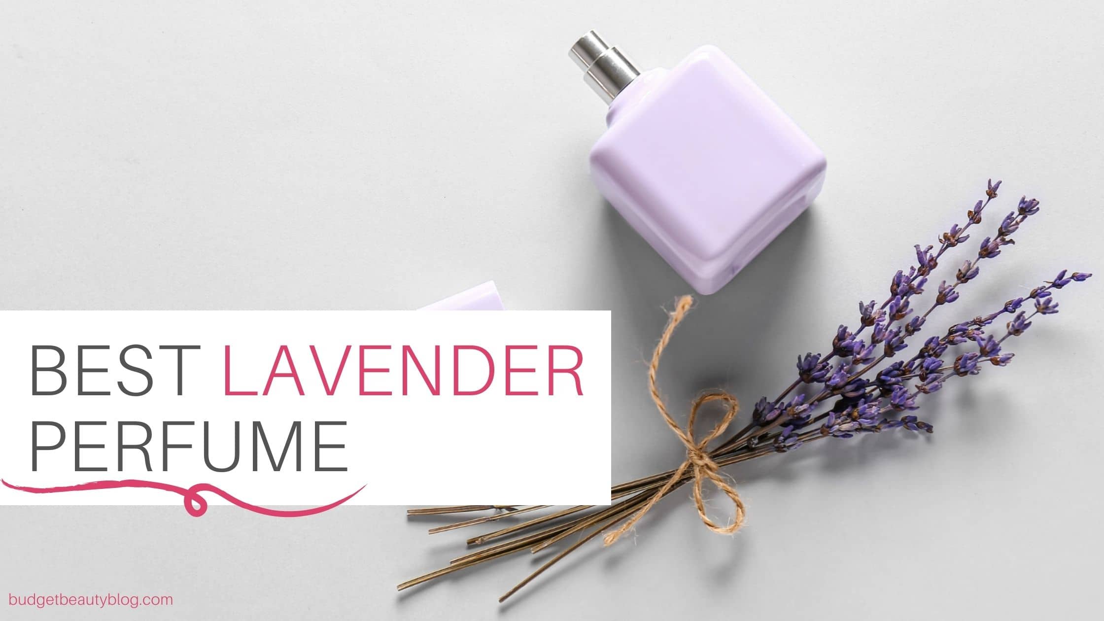 7 best lavender perfume you will love 2022