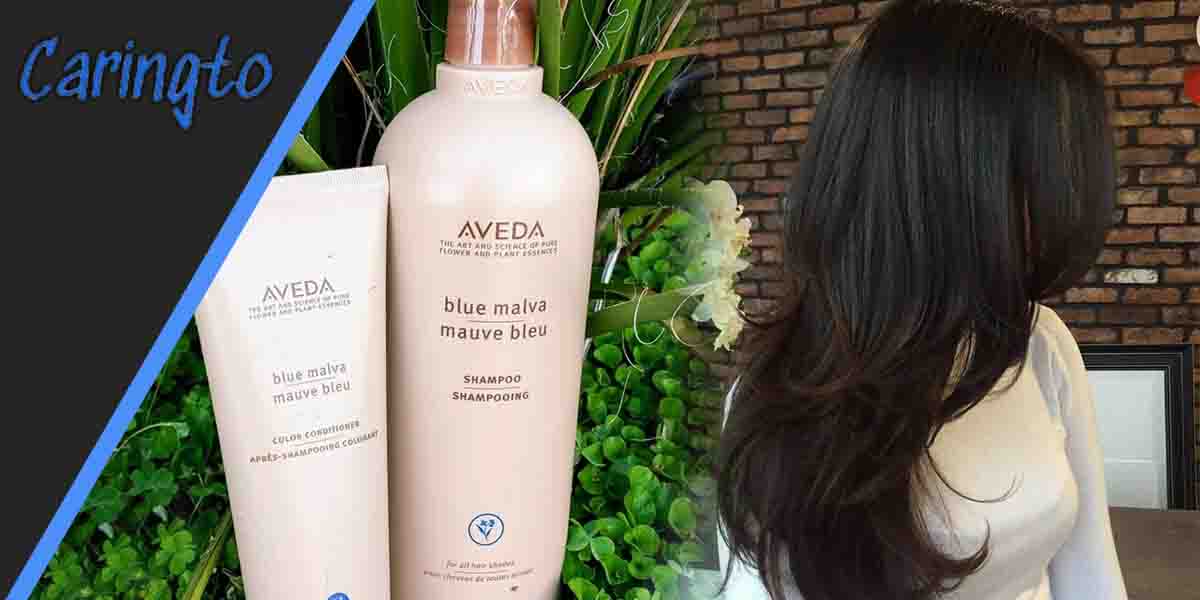 Aveda’s History and Aim as a Company