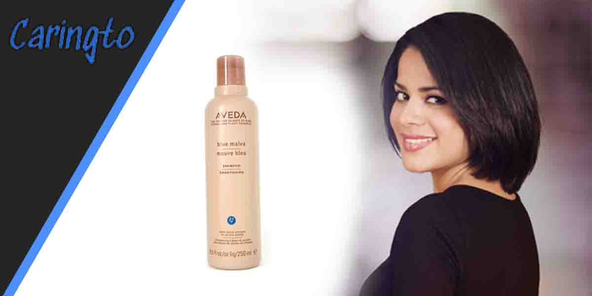 Alternative Shampoo that Can be Used for the Same Effects