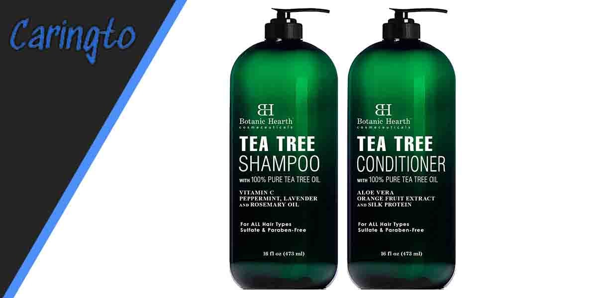 Botanic Hearth Tea Tree Shampoo and Conditioner Set