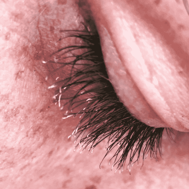 eyelashes grow back when cut