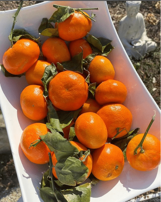 vitamins for eyelash