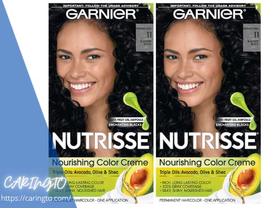 garnier olia permanent hair color