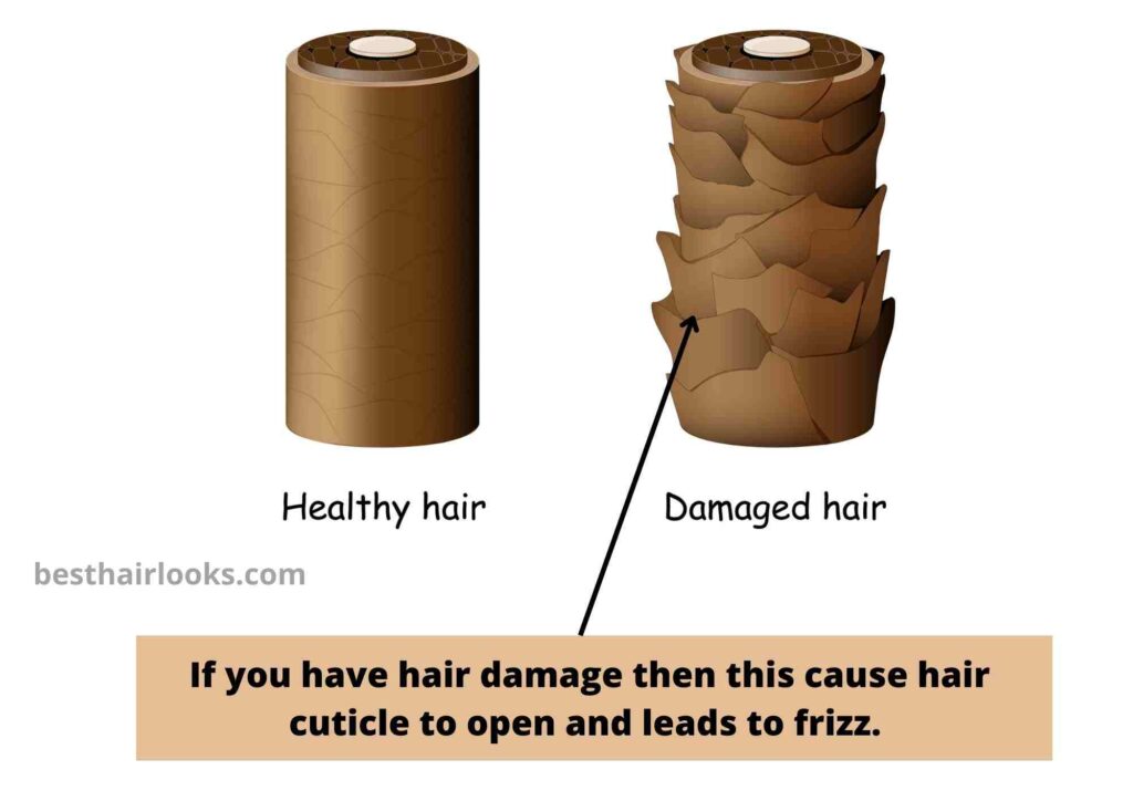 what causes frizzy hair in humidity