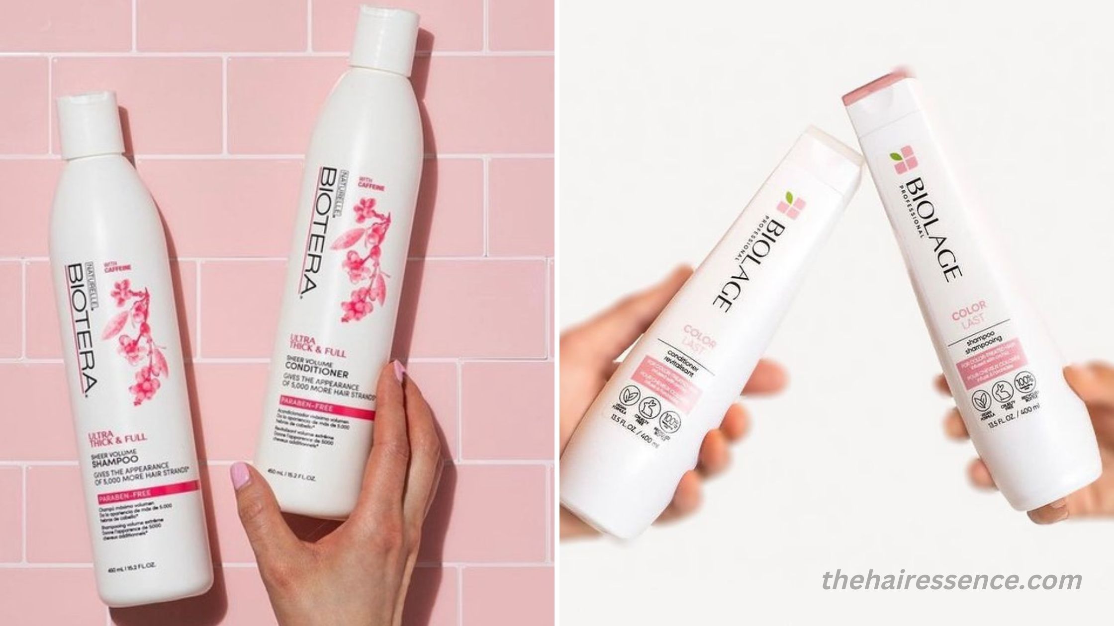 Biotera vs Biolage: Which Brand Is Better For Hair