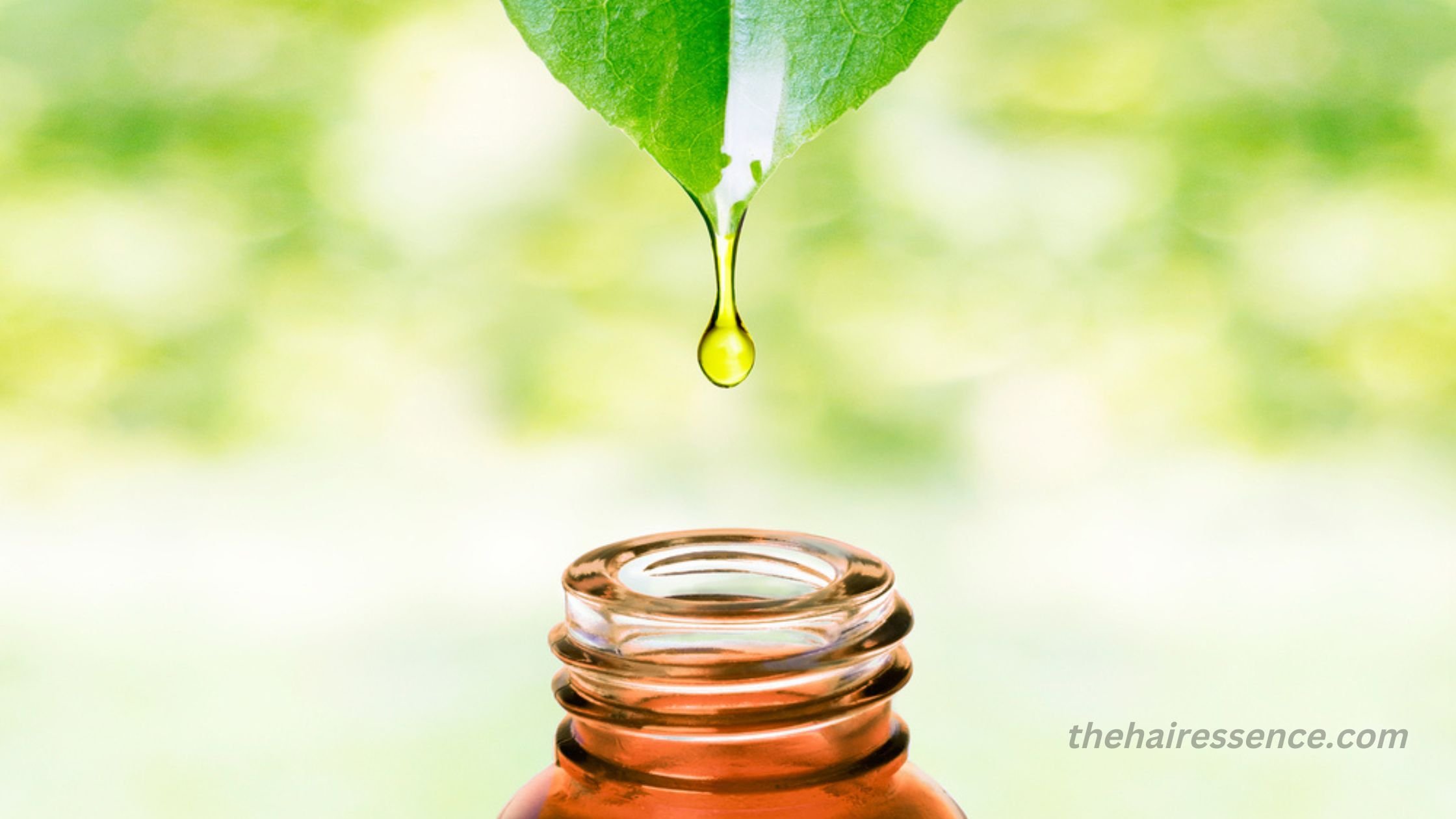 What is Kente Oil? How is It Used and What are the Benefits