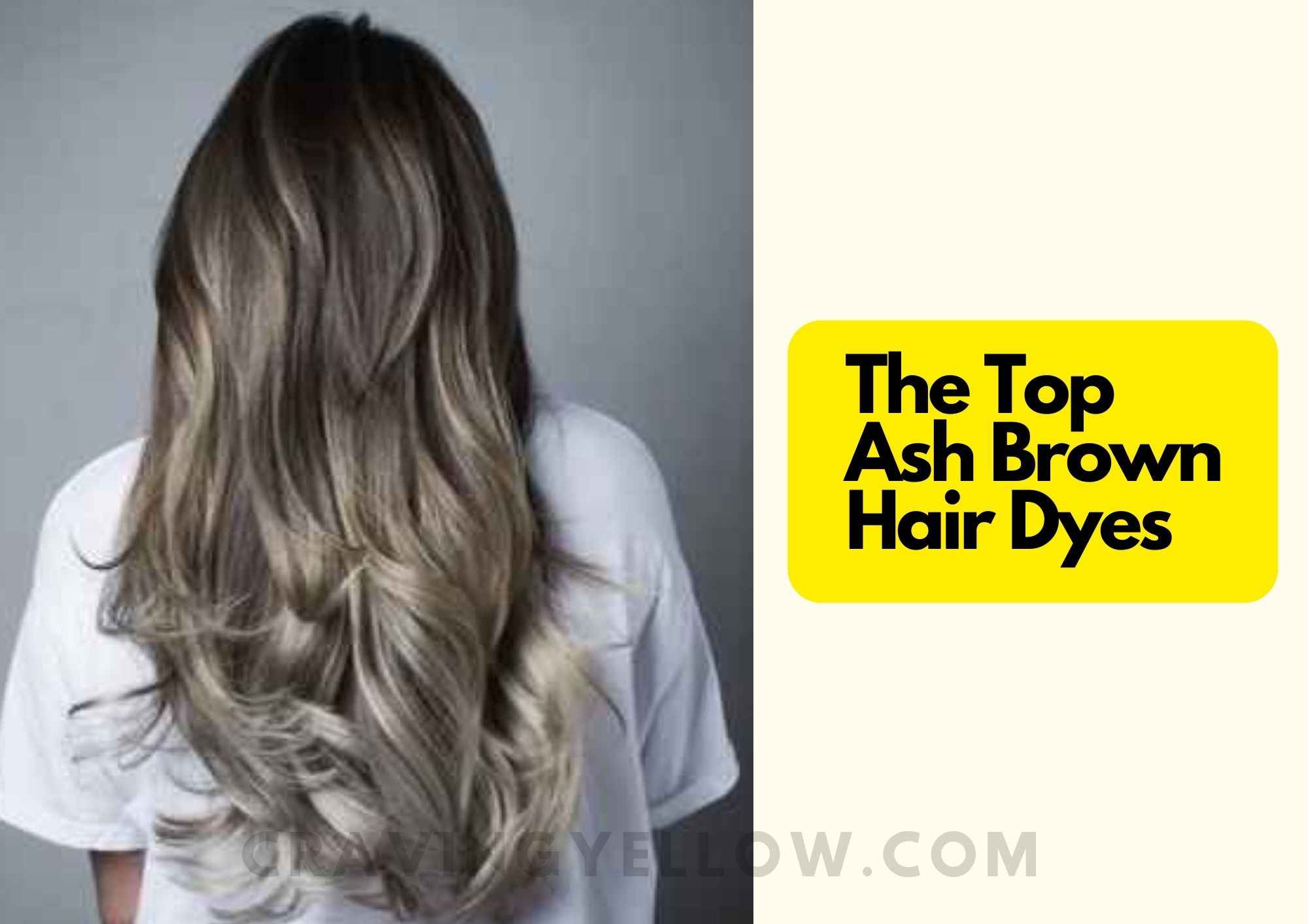 Top Ash Brown Hair Dyes