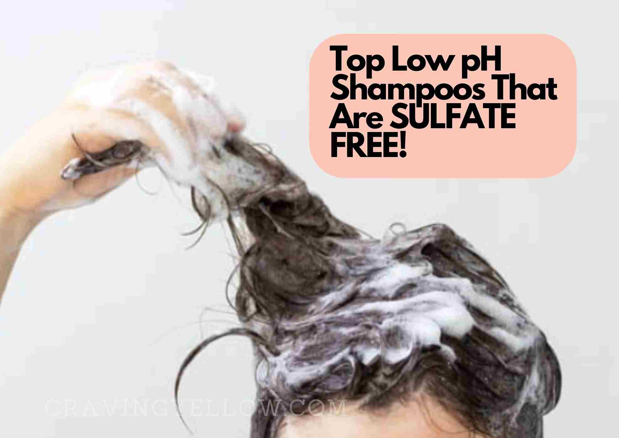 Best Sulfate Free Low pH Shampoos