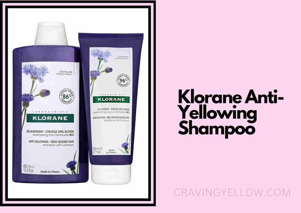 Best Sulfate Free Shampoo To Reduce Grey Hair 