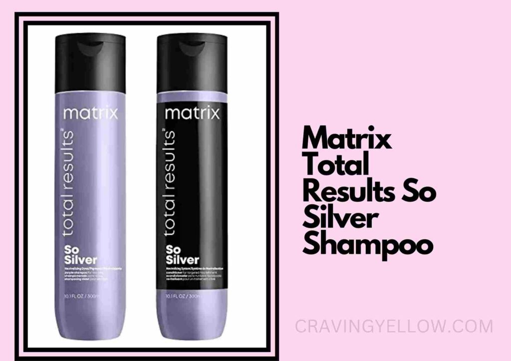 Matrix Total Results So Silver Shampoo