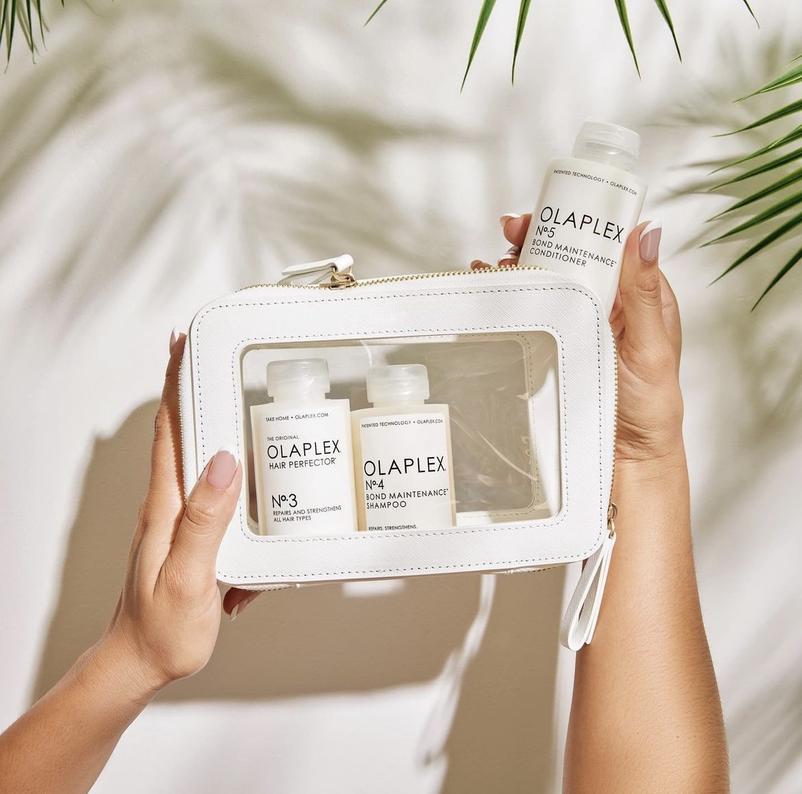 Is Olapex Shampoo Sulfate Free, Olapex Shampoo, Sulfate Free Olapex Shampoo, Olapex shampoo benefits, Olapex shampoo effects