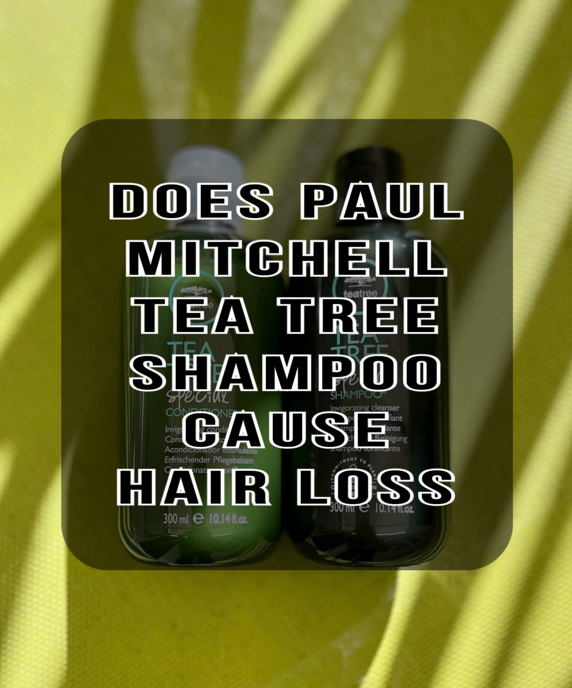 Does Paul Mitchell Tea Tree Shampoo Cause Hair Loss, Hair loss Paul Mitchell Tea Tree shampoo, Paul Mitchell Tea Tree shampoo for hair loss, Paul Mitchell Tea Tree shampoo prevent hair loss