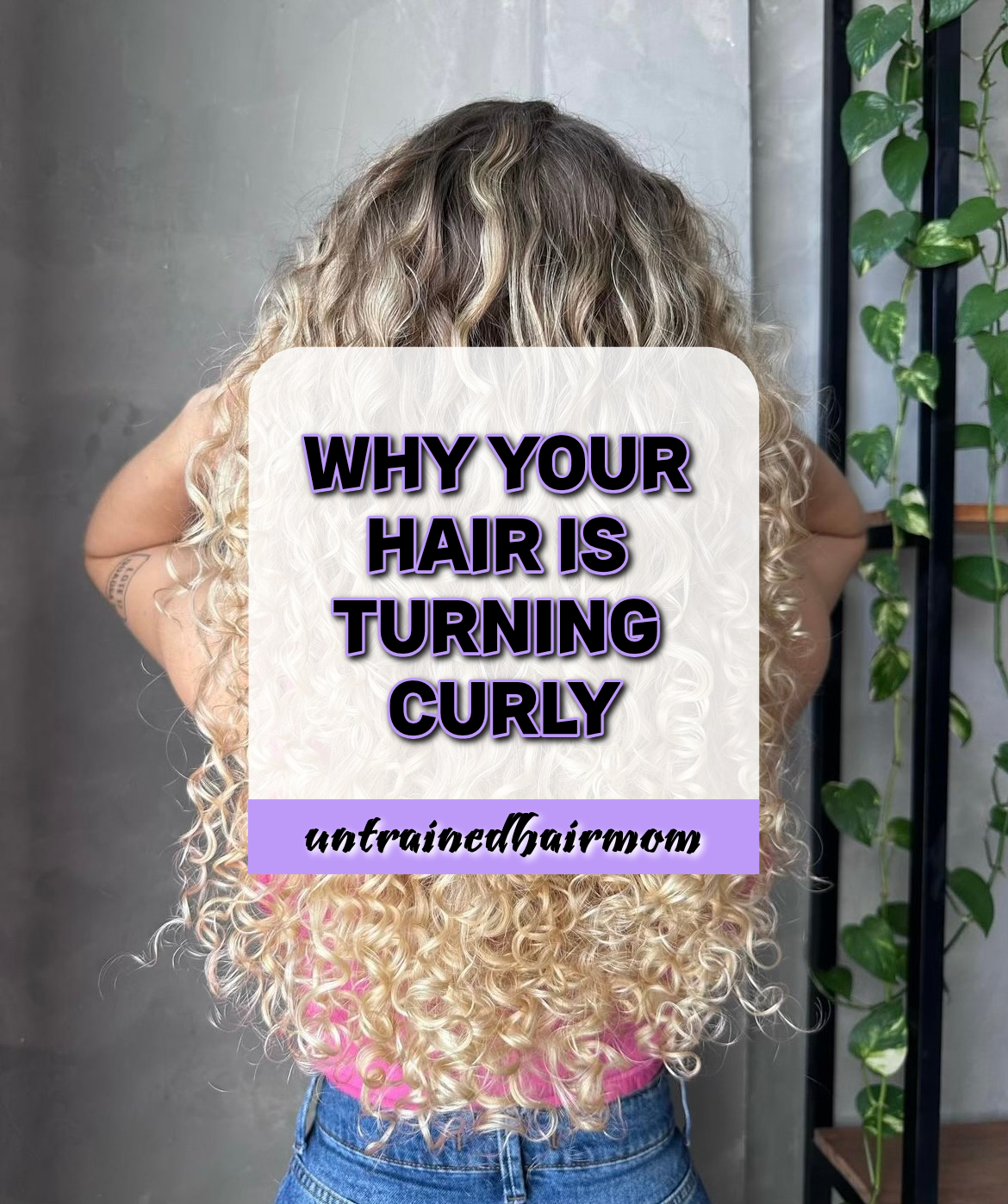Why Your Hair is Turning Curly?